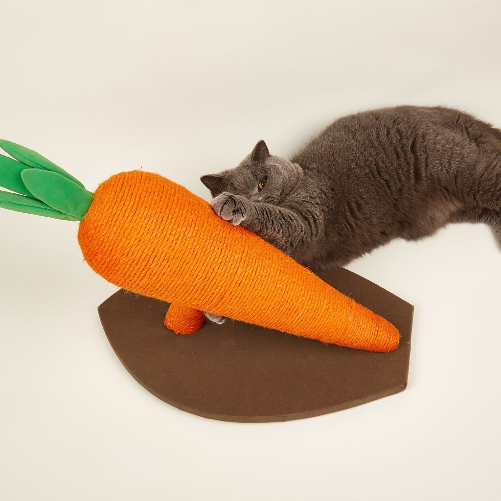 Bàn cào móng sisal hình củ cà rốt FOFOS