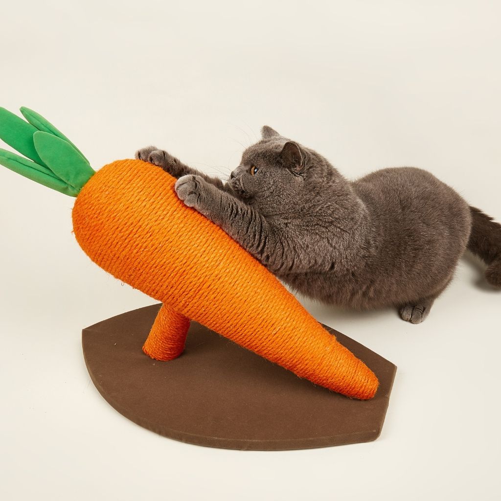 Bàn cào móng sisal hình củ cà rốt FOFOS