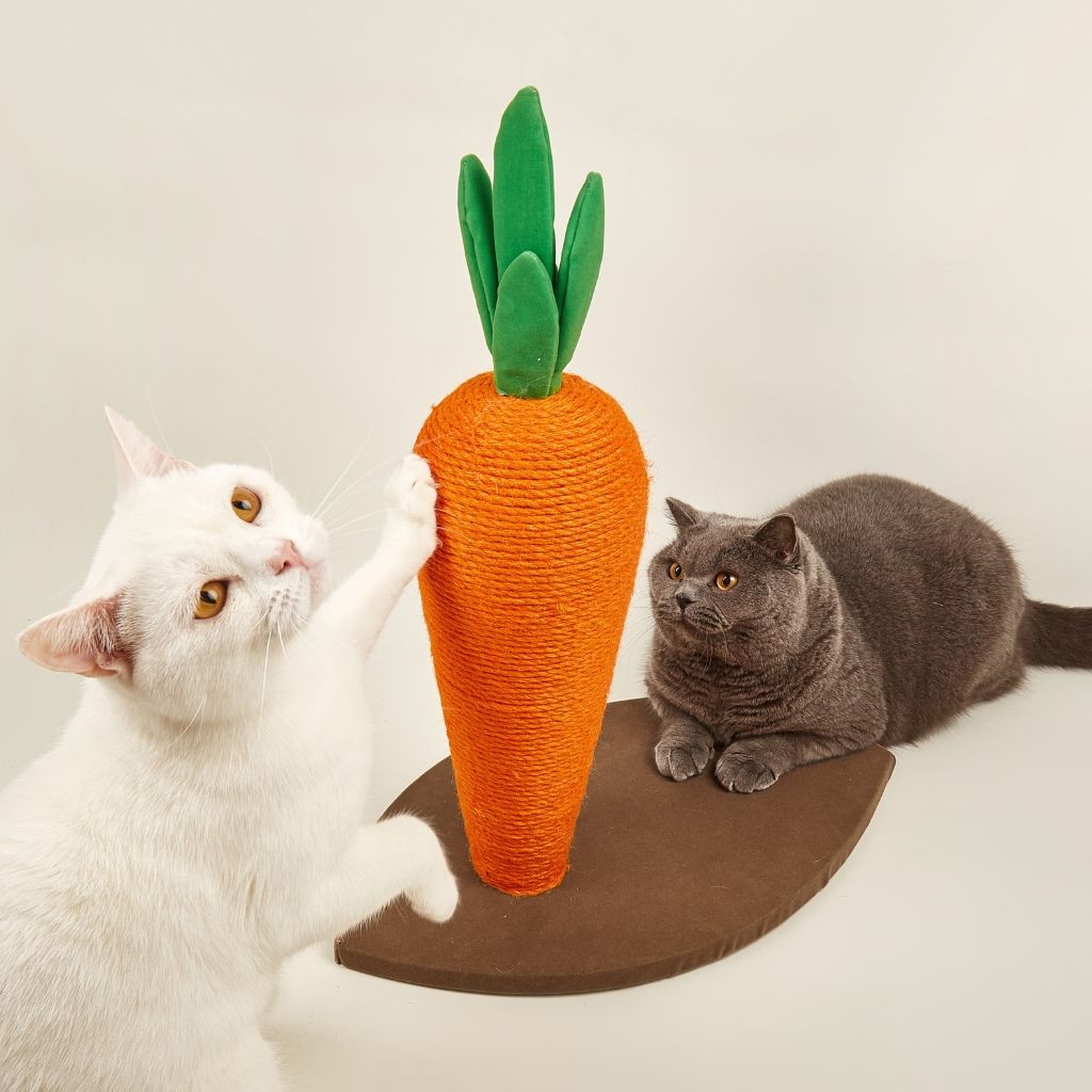 Bàn cào móng sisal hình củ cà rốt FOFOS