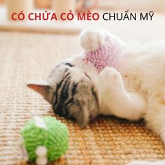 Đồ chơi banh tròn vui nhộn có chuông và cỏ mèo FOFOS