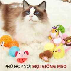 Đồ chơi banh tròn vui nhộn có chuông và cỏ mèo FOFOS