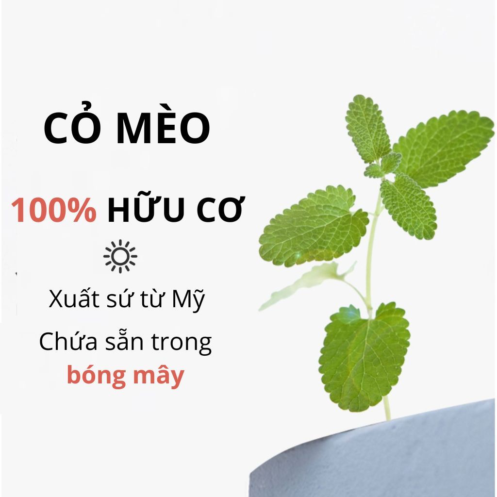 Bàn cào móng sisal kết hợp cây lông vũ FOFOS