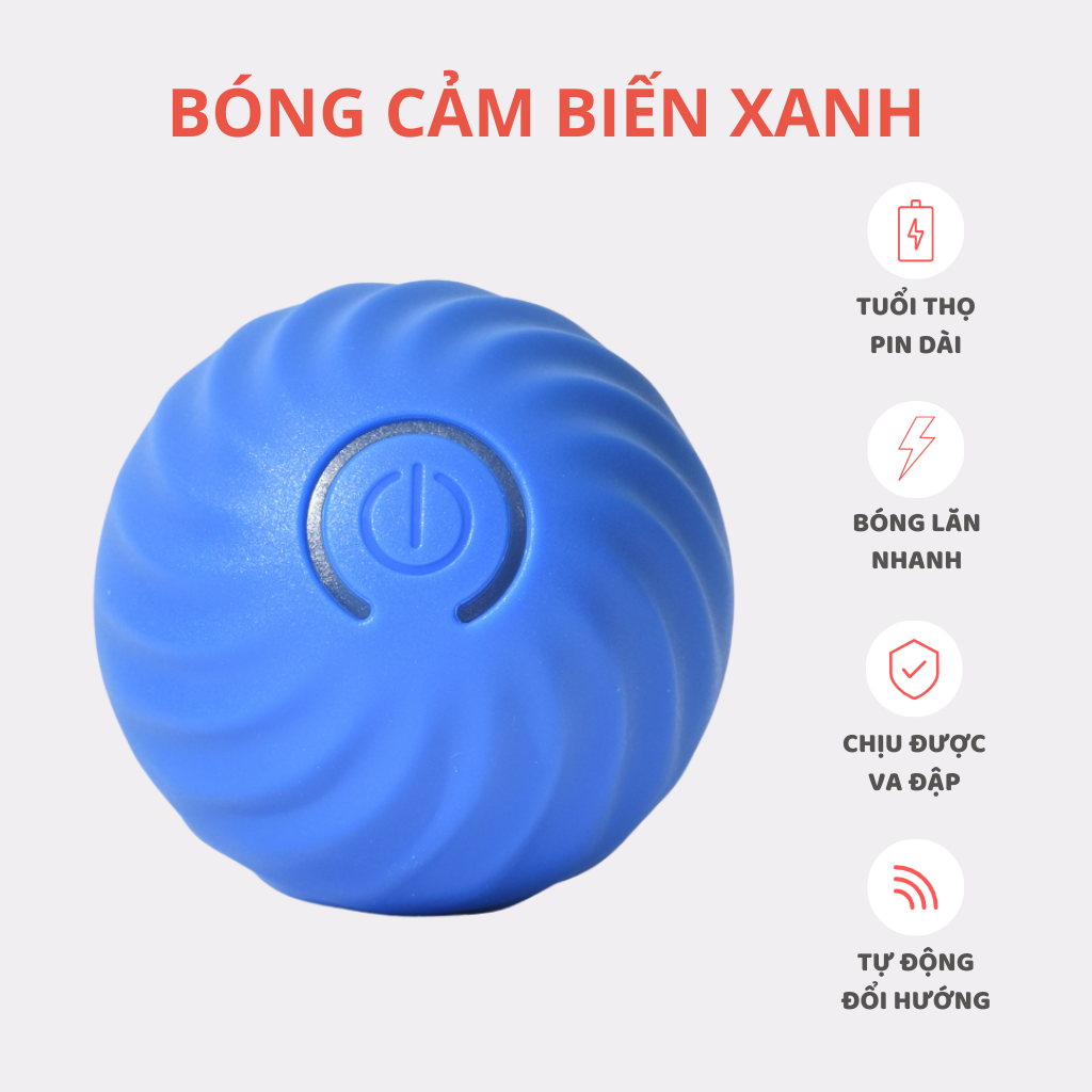 Banh cảm biến tự động cho chó