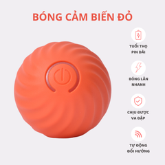 Banh cảm biến tự động cho chó