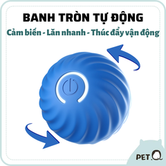 Banh cảm biến tự động cho chó