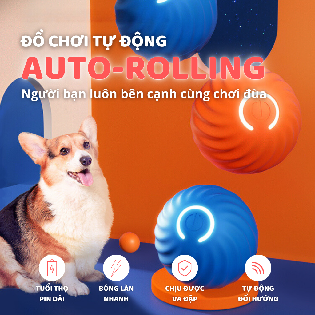 Banh cảm biến tự động cho chó