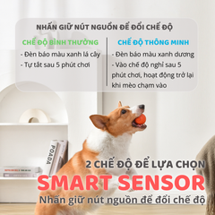 Banh cảm biến tự động cho chó
