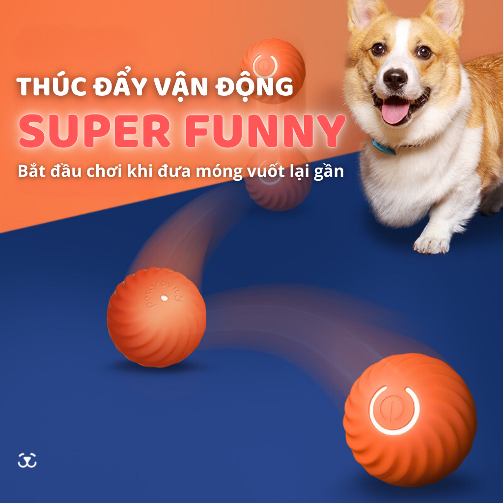 Banh cảm biến tự động cho chó