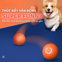 Banh cảm biến tự động cho chó