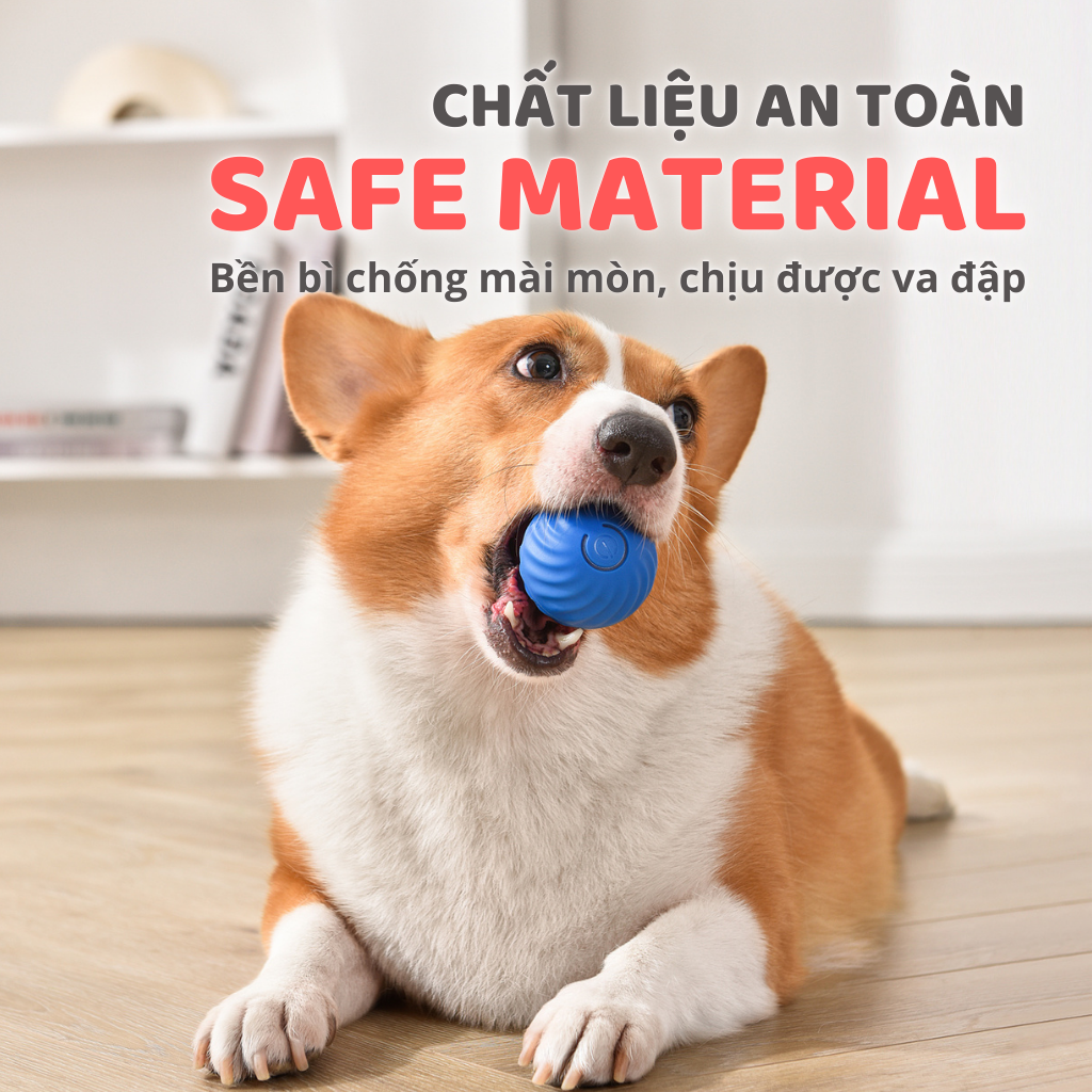 Banh cảm biến tự động cho chó