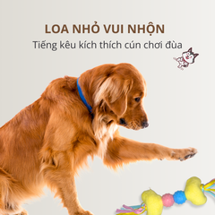 Đồ chơi nhai gặm hình xương & gấu bông FOFOS