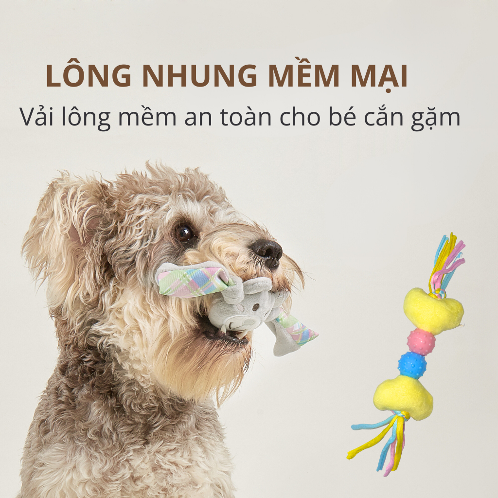 Đồ chơi nhai gặm hình xương & gấu bông FOFOS