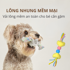 Đồ chơi nhai gặm hình xương & gấu bông FOFOS