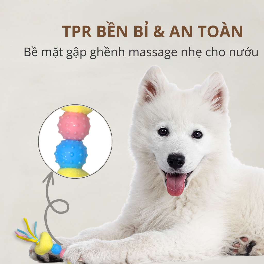 Đồ chơi nhai gặm hình xương & gấu bông FOFOS