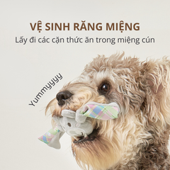 Đồ chơi nhai gặm hình xương & gấu bông FOFOS