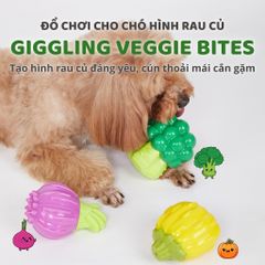 Đồ chơi cắn gặm hình rau củ FOFOS