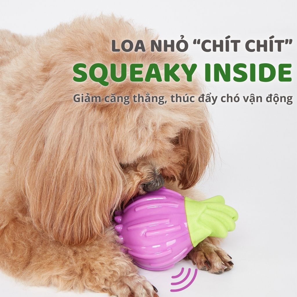 Đồ chơi cắn gặm hình rau củ FOFOS