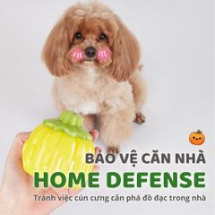 Đồ chơi cắn gặm hình rau củ FOFOS