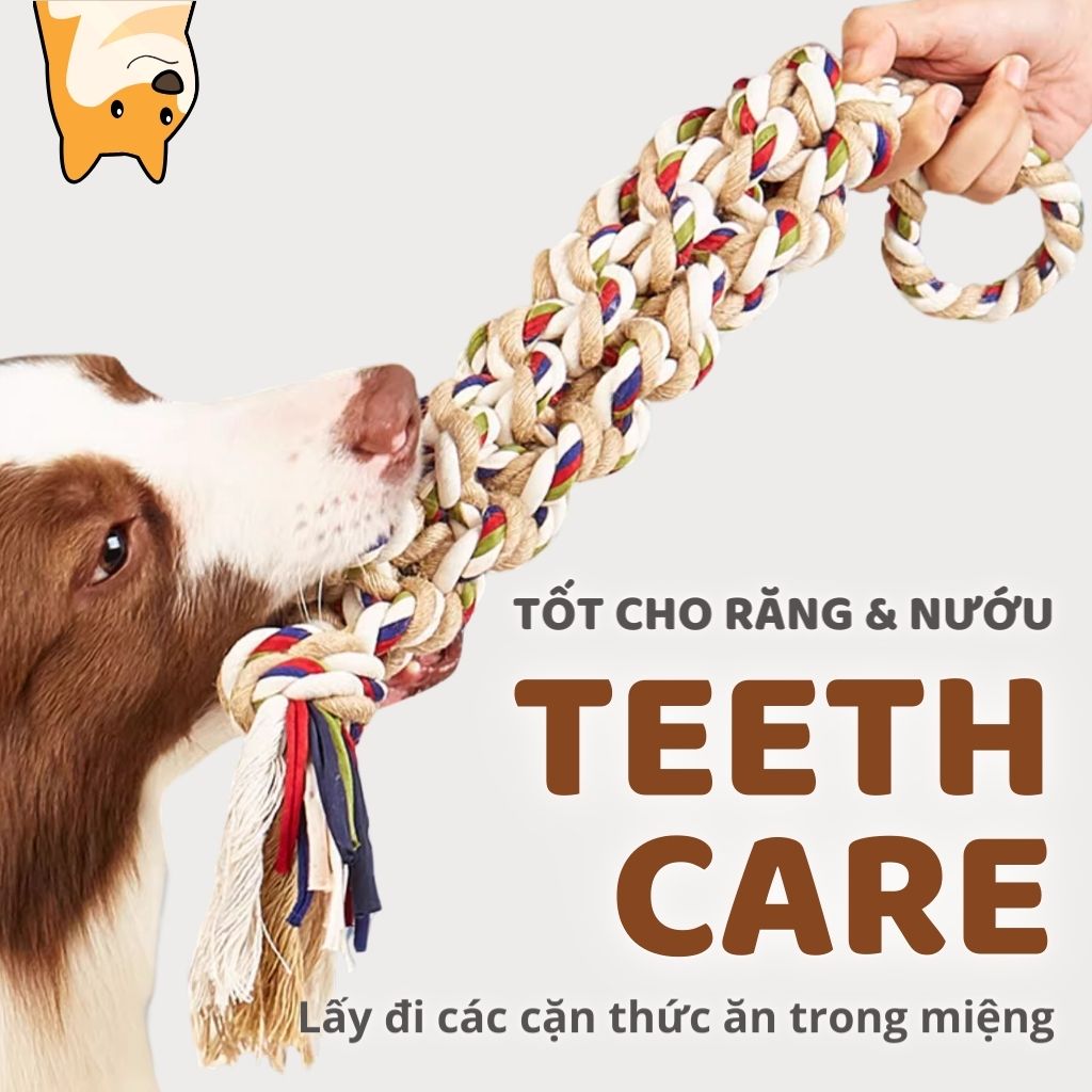 Đồ chơi dây cắn gặm 3 đầu FOFOS