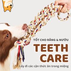Đồ chơi dây cắn gặm 3 đầu FOFOS