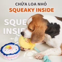 Đồ chơi thú bông sinh nhật cho chó FOFOS