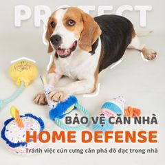 Đồ chơi thú bông sinh nhật cho chó FOFOS