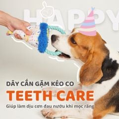 Đồ chơi thú bông sinh nhật cho chó FOFOS