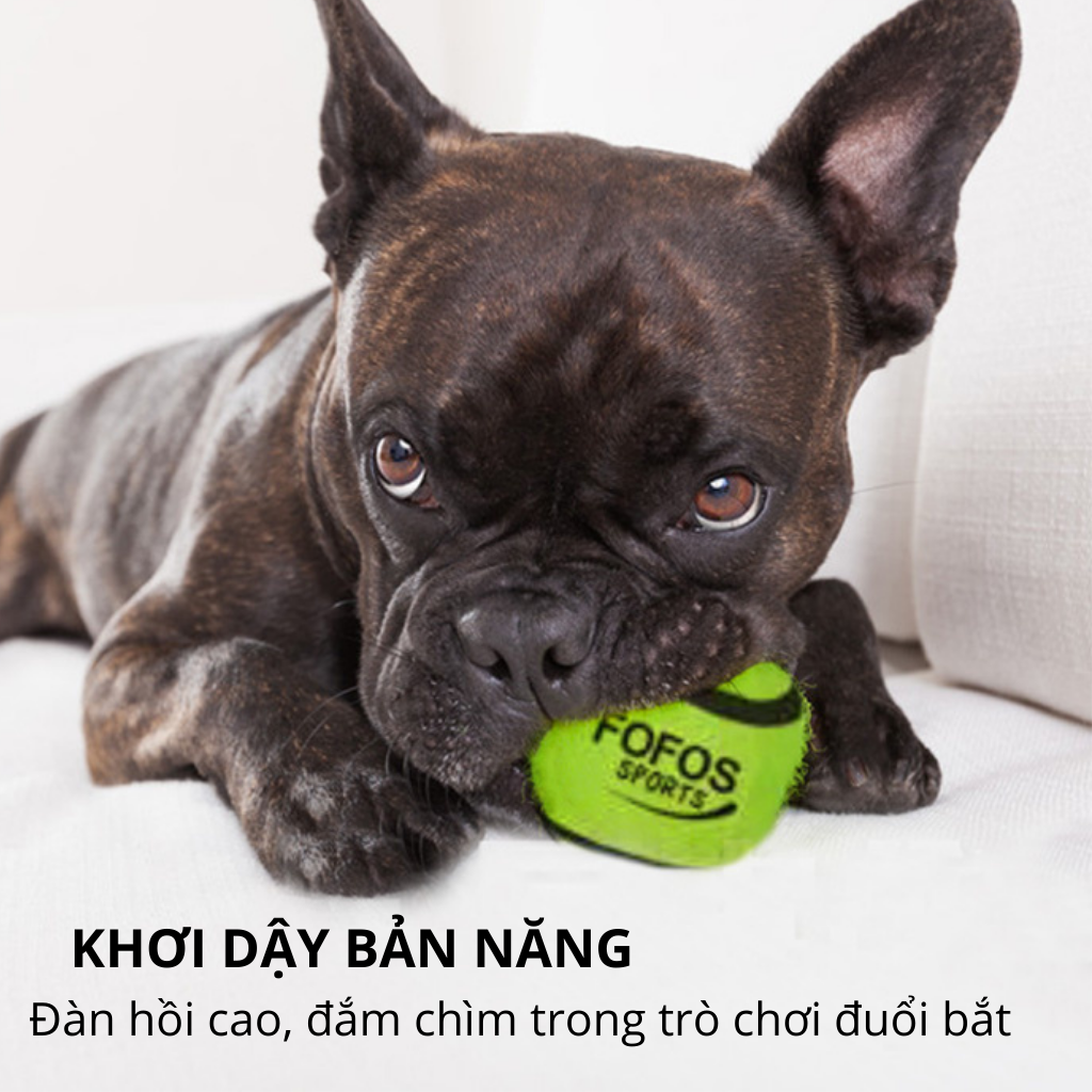 Đồ chơi banh tennis cho chó FOFOS