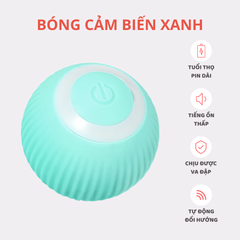 Banh cảm biến tự động cho mèo