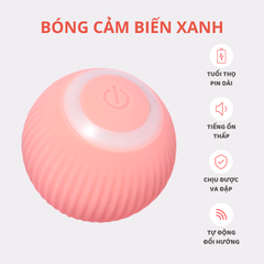Banh cảm biến tự động cho mèo