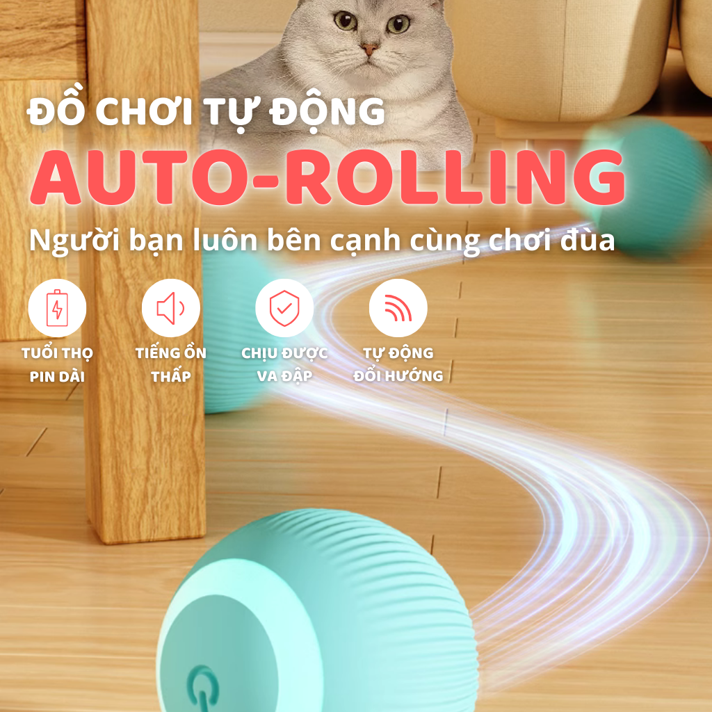 Banh cảm biến tự động cho mèo