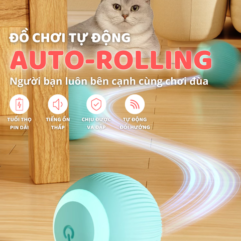 Banh cảm biến tự động cho mèo