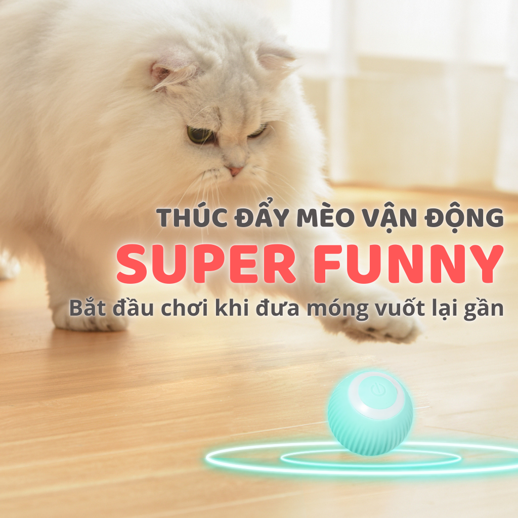 Banh cảm biến tự động cho mèo