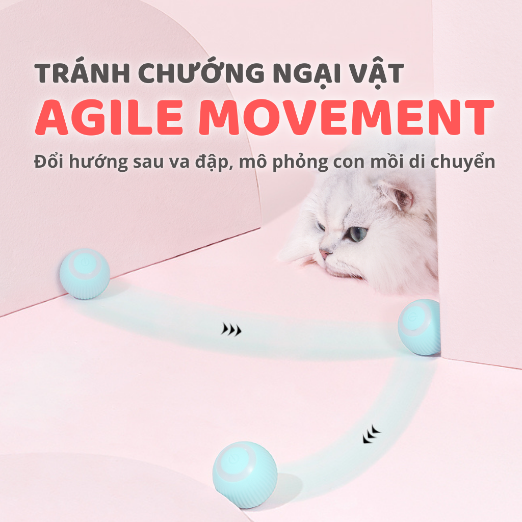 Banh cảm biến tự động cho mèo