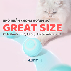Banh cảm biến tự động cho mèo