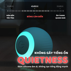 Banh cảm biến tự động cho mèo