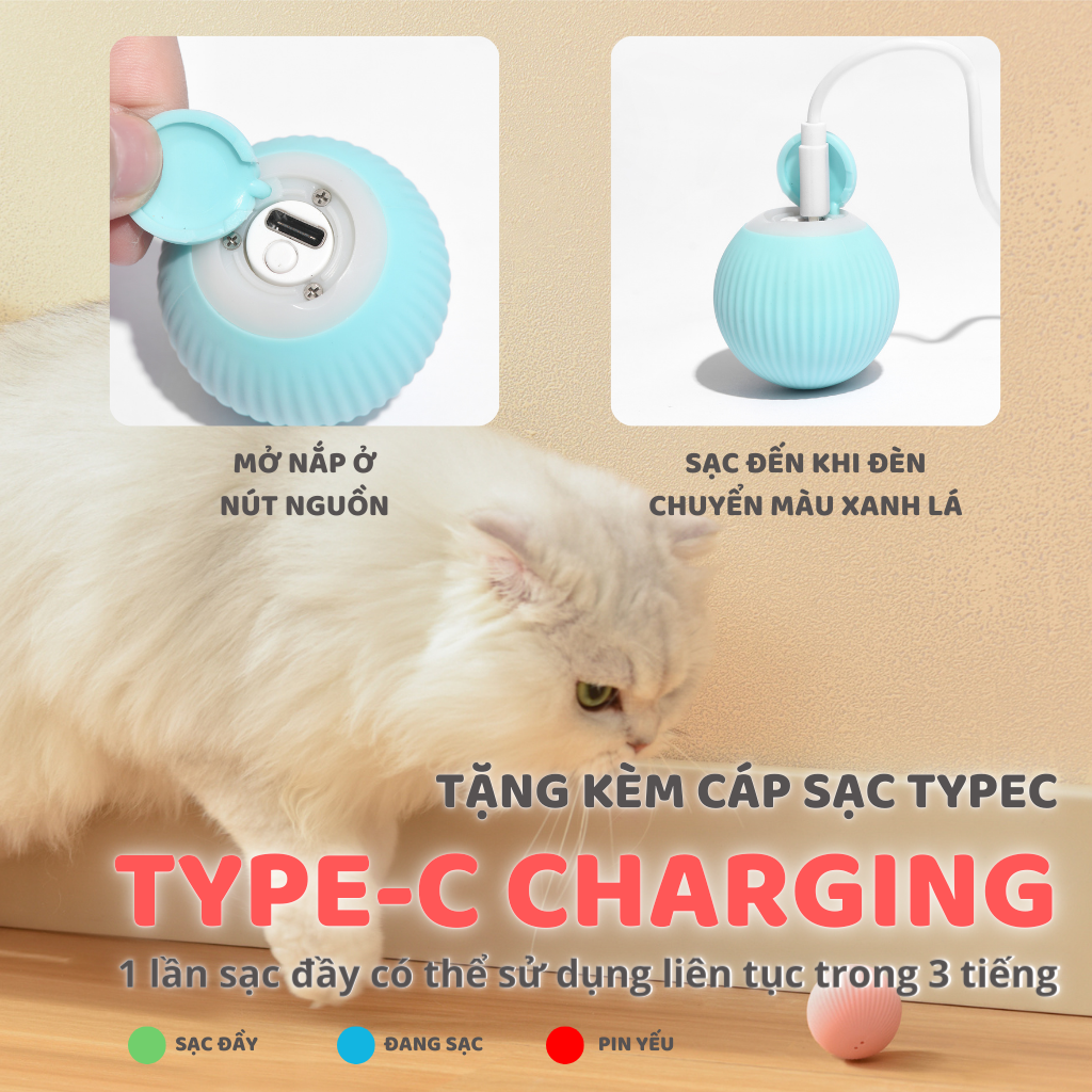 Banh cảm biến tự động cho mèo
