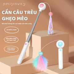 Cần câu & Đèn laser trêu ghẹo mèo