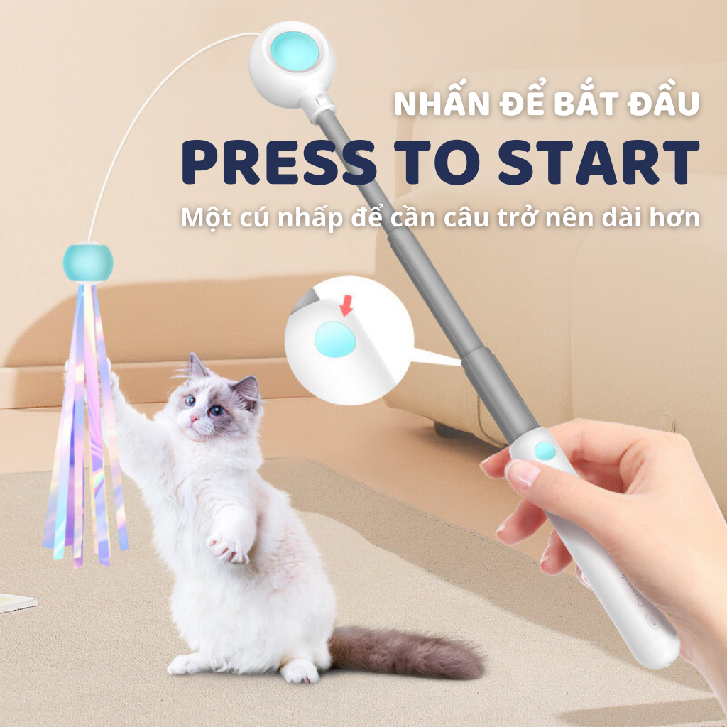 Cần câu & Đèn laser trêu ghẹo mèo