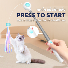 Cần câu & Đèn laser trêu ghẹo mèo
