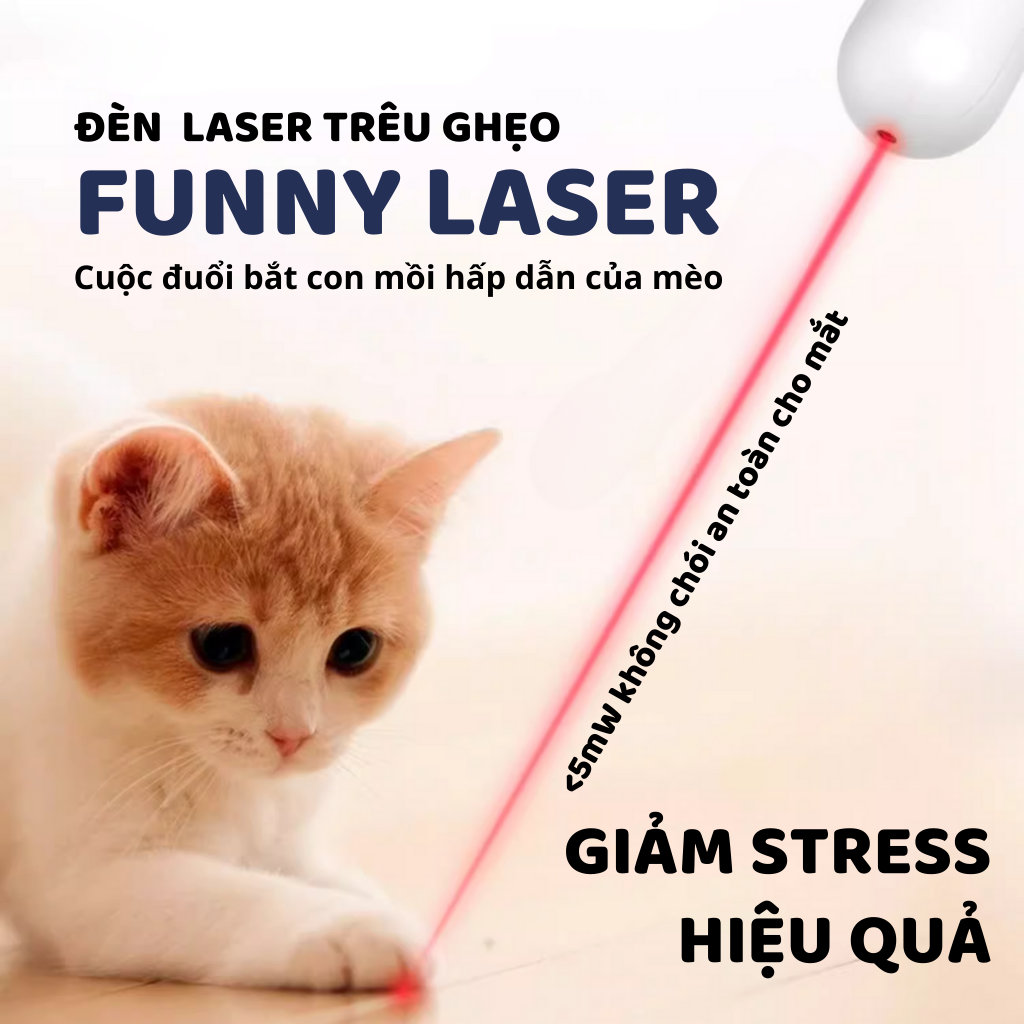 Cần câu & Đèn laser trêu ghẹo mèo