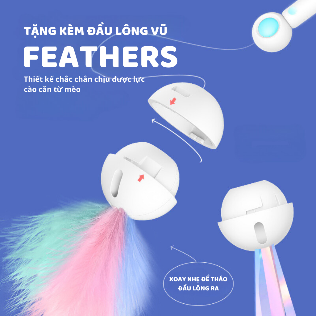 Cần câu & Đèn laser trêu ghẹo mèo