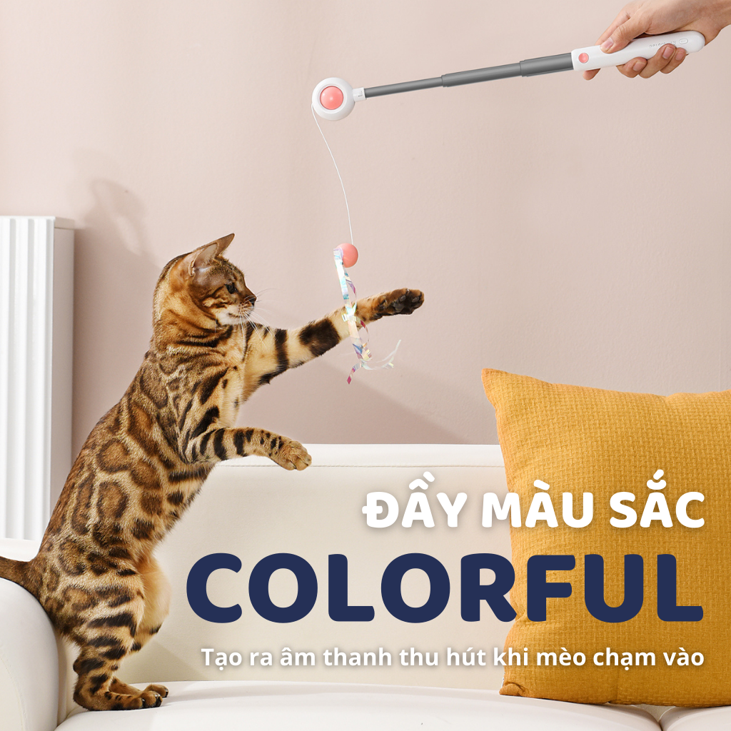 Cần câu & Đèn laser trêu ghẹo mèo