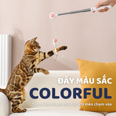 Cần câu & Đèn laser trêu ghẹo mèo