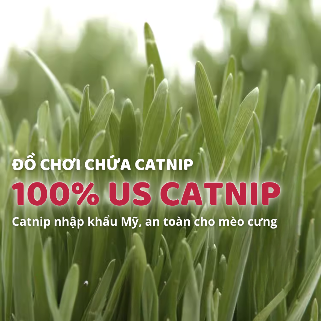 Đồ chơi ma tình yêu cho mèo FOFOS