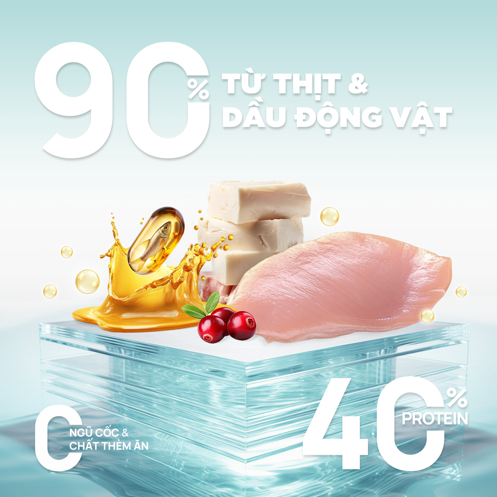 Thức ăn hạt cho mèo Churro C90 PetQ