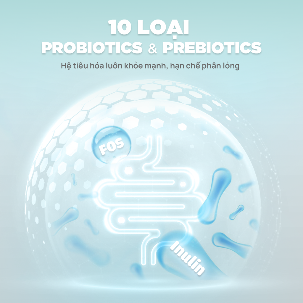 Thức ăn hạt cho mèo Churro C90 PetQ