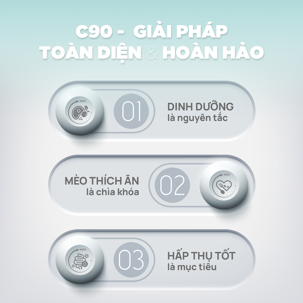 Thức ăn hạt cho mèo Churro C90 PetQ