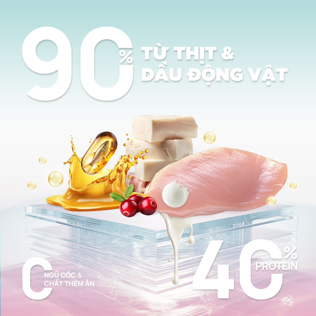 Thức ăn hạt cho mèo Churro C90K PetQ