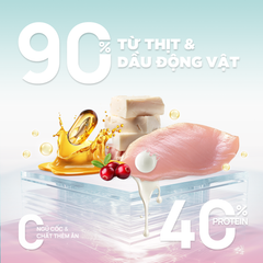 Thức ăn hạt cho mèo Churro C90K PetQ